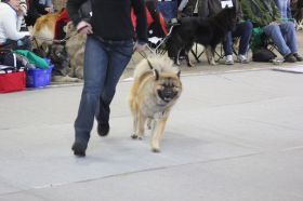 IMG_0355.JPG