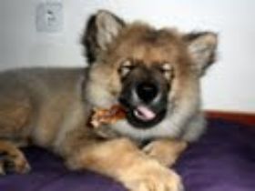 SAM_0427.JPG