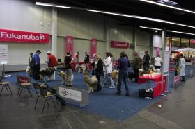 IMG_1304.JPG