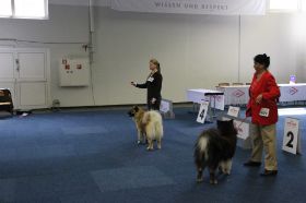 IMG_1346.JPG