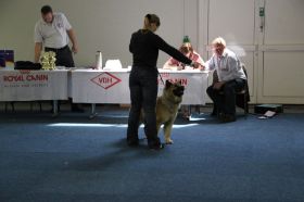 IMG_1349.JPG