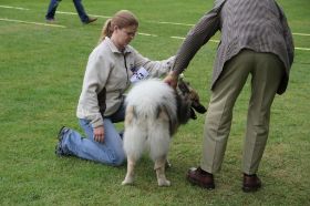 IMG_1459.JPG