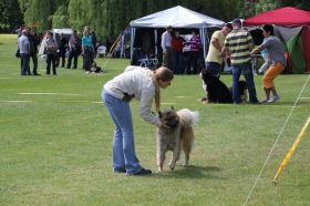IMG_1499.JPG