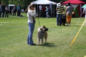 IMG_1500.JPG