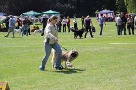 IMG_1502.JPG
