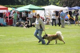 IMG_1504.JPG