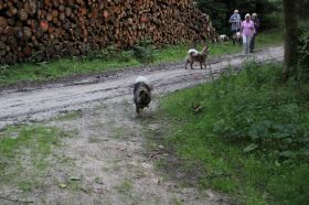 IMG_2531.JPG