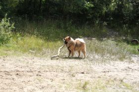 IMG_2626.JPG