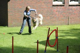 IMG_2670.JPG