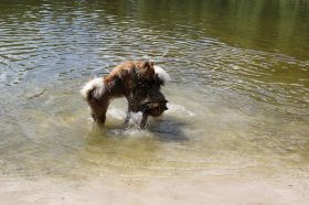 IMG_2581.JPG