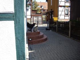 IMGP4490.JPG