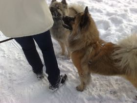 02012010417.jpg