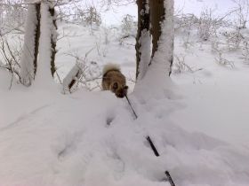 02012010418.jpg